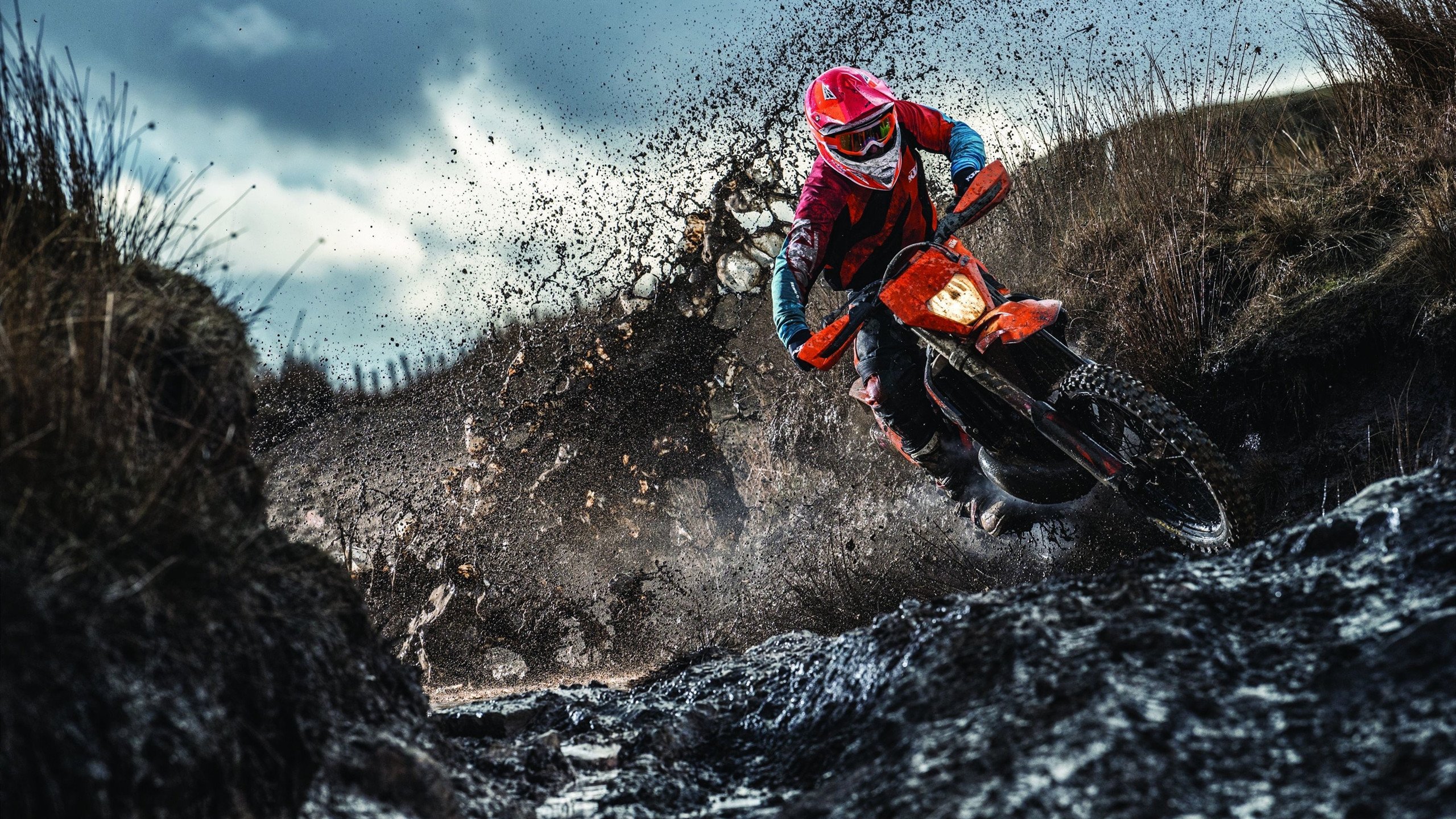 得分分布最平均的球队更难防守吗,场均得分最高的球队